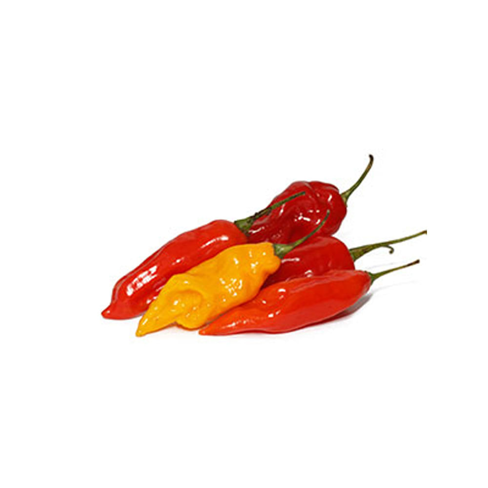 Aji-Limo-1-7333.jpg Ají Limo x 250  gr - Imagen 1