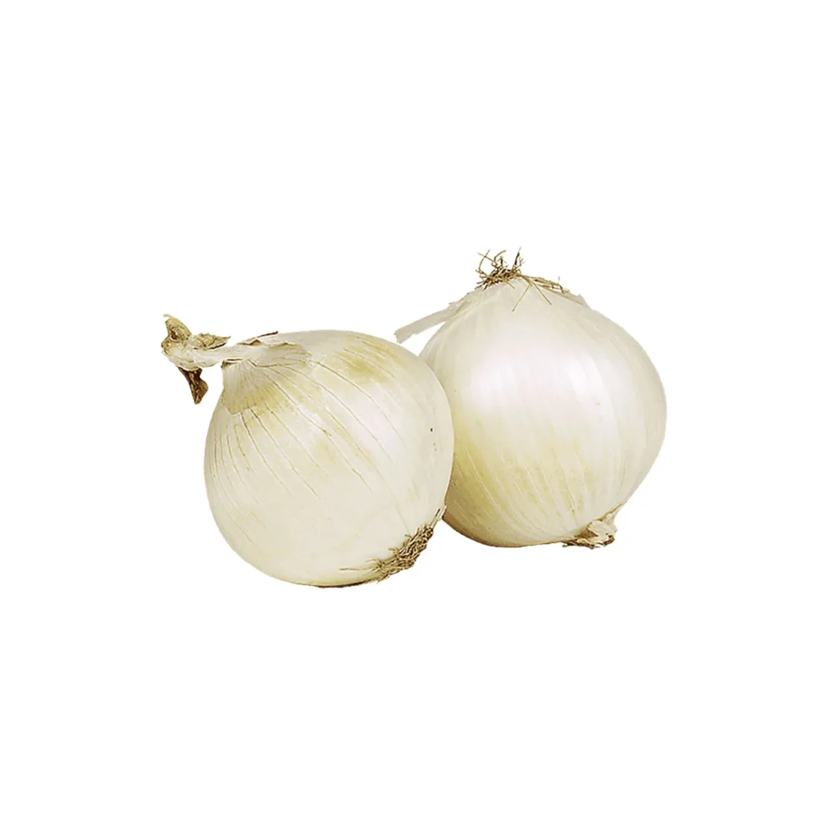 Cebolla Blanca x KG - Imagen 2