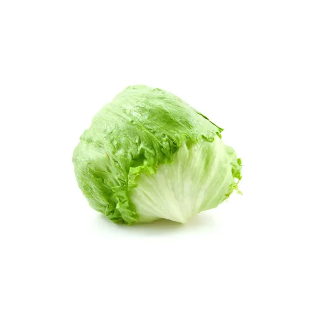 Lechuga Americana Und - Imagen 1