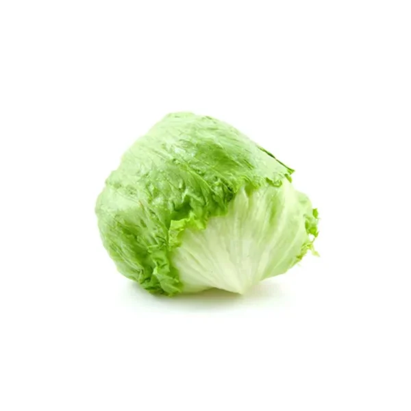 Lechuga Americana Und