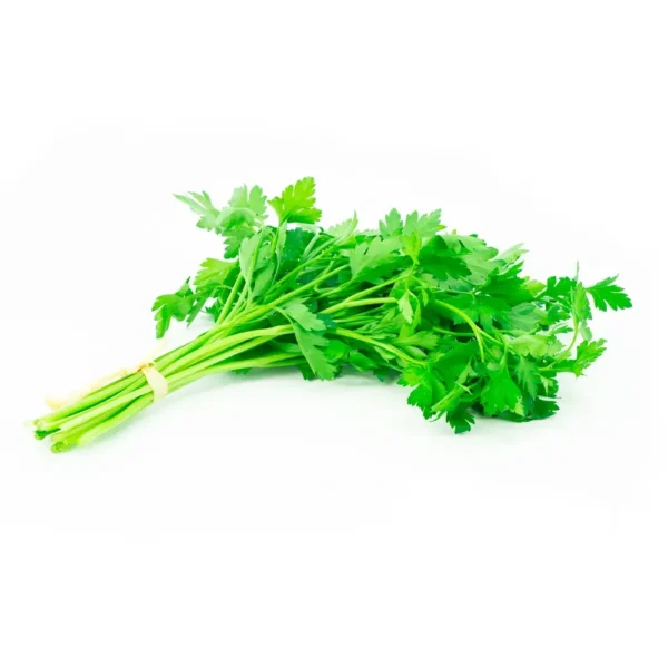 Culantro Atado