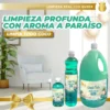 Limpiatodo Antibacterial Queen - Galonera 4lt aromas variados