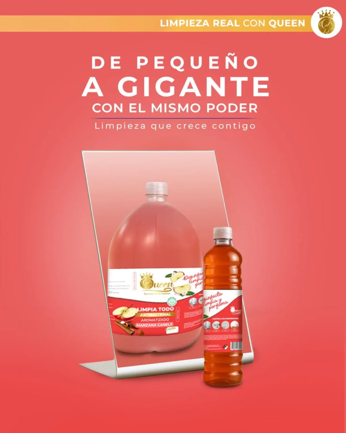 Lejía Queen Gl 4lt - Imagen 4