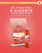 Lejía Queen Gl 4lt - Imagen 4